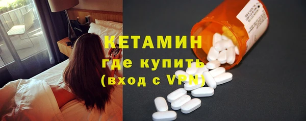 сатива Гусев
