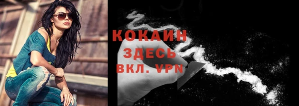 сатива Гусев