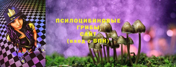 твердый Горнозаводск