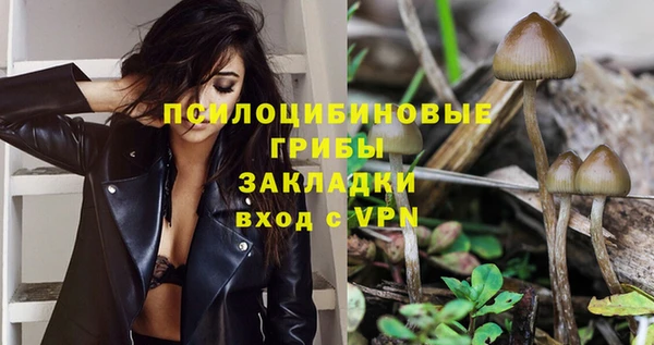 твердый Горнозаводск