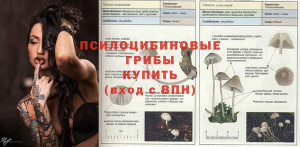 сатива Гусев