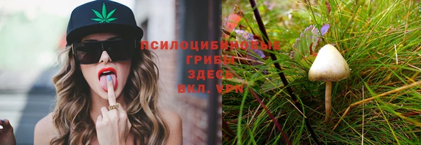 твердый Горнозаводск