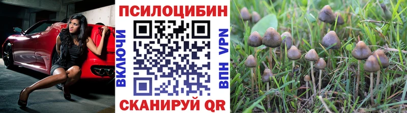 Галлюциногенные грибы Psilocybe  маркетплейс официальный сайт  Черепаново 
