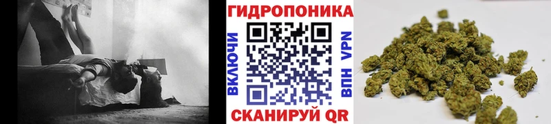 сколько стоит  Черепаново  Бошки марихуана OG Kush 
